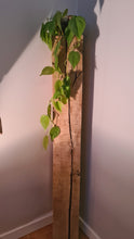 Ladda bilden i Galleri Viewer, Rustic tammipalkki 150x150mm